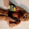 Chewbacca Variant (Black Belt)-1997-0 (1)