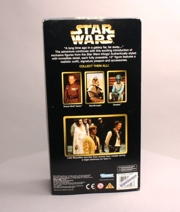 Luke Skywalker in Ceremonial Gear-01d Luke Skywalker in Ceremonial Gear-01d