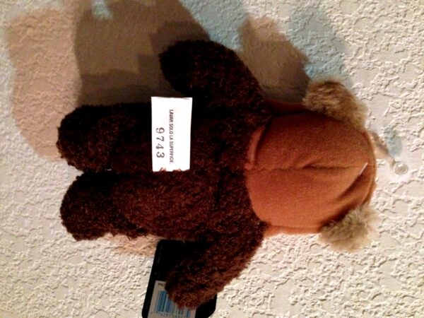 Wicket the Ewok-1997-0 (4)