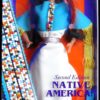 Native American Barbie Doll (Blue 2nd Ed)-01b