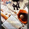 New York Yankee Barbie-C