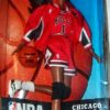 Chicago Bulls Barbie AA-1