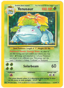 15-102 - VENUSAUR (holo-foil)-24