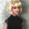 Barbie Basics Collection (001 Model 009)-01aa