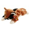 1996 Chip (The Calico Cat) January 26, 1996-1
