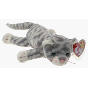 1999 SILVER (The Grey-Tabby Cat) February 11, 1999