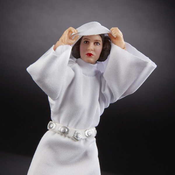 PRINCESS LEIA ORGANA (Star Wars 40TH ANNIVERSARY)-1bb
