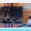 Jackie Robinson (Authentic Lenticular Cels-2) (1)
