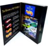 Hotwheels (FAO Schwarz The History Of Hot Wheels One) (6)