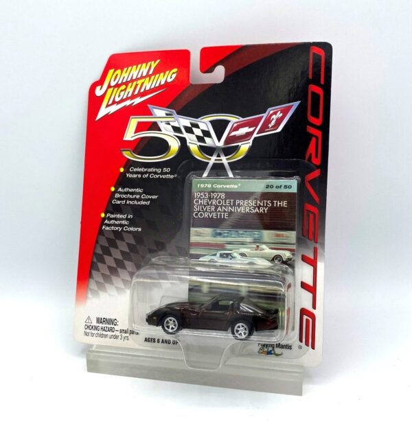 Vintage 1978 Corvette (6)