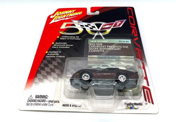 Vintage 1978 Corvette (9)