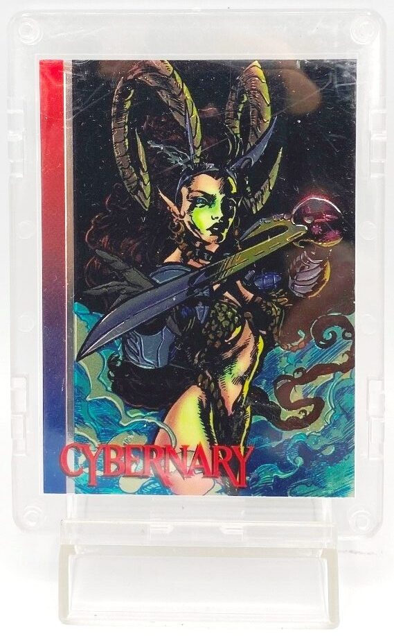 1993 Wizard Series III Cybernary Chromium Promo (2) 1993 Wizard Series III Cybernary Chromium Promo (2)