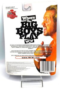 1999 Nitro Street Rods WCW (Diamond Dallas Page) (6)