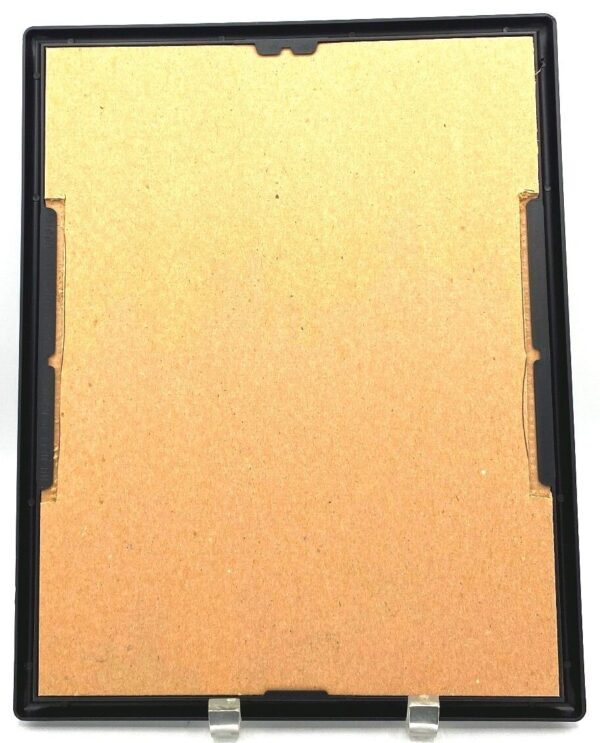 1994 Beckett Racing Ernie Irvan-2 (10)