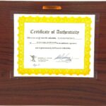 1994 Notre Dame Auto Joe Montana QB #3 (9)