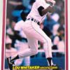 1984 Donruss Louis Whitaker Card #4 (1) 1984 Donruss Louis Whitaker Card #4 (1)
