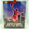 1993 UDA Skylights Michael Jordan (2)