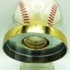 1995 Babe Ruth 714 Home Runs (7)