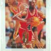 1995 Flair Michael Jordan #326 (1)