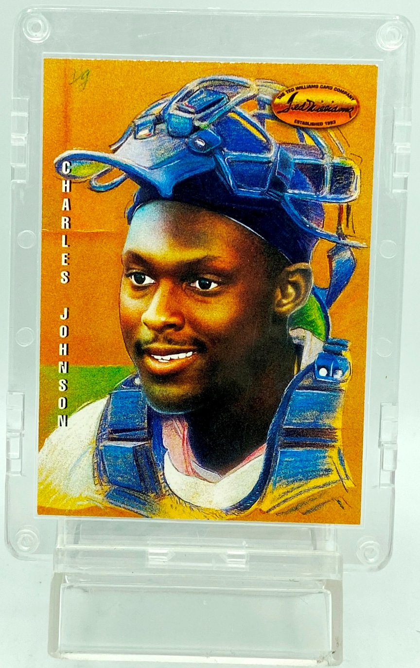 1994 Ted Williams MLB Charles Johnson #DG4 (A)