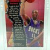 1996 Fleer Shredders Glenn Robinson #245 (2)