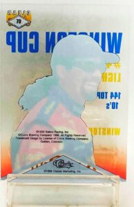 1996 Classic Nascar Kyle Petty #70 (2)